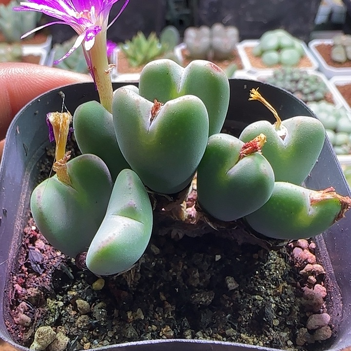 679 哈哈哈哈哈哈哈