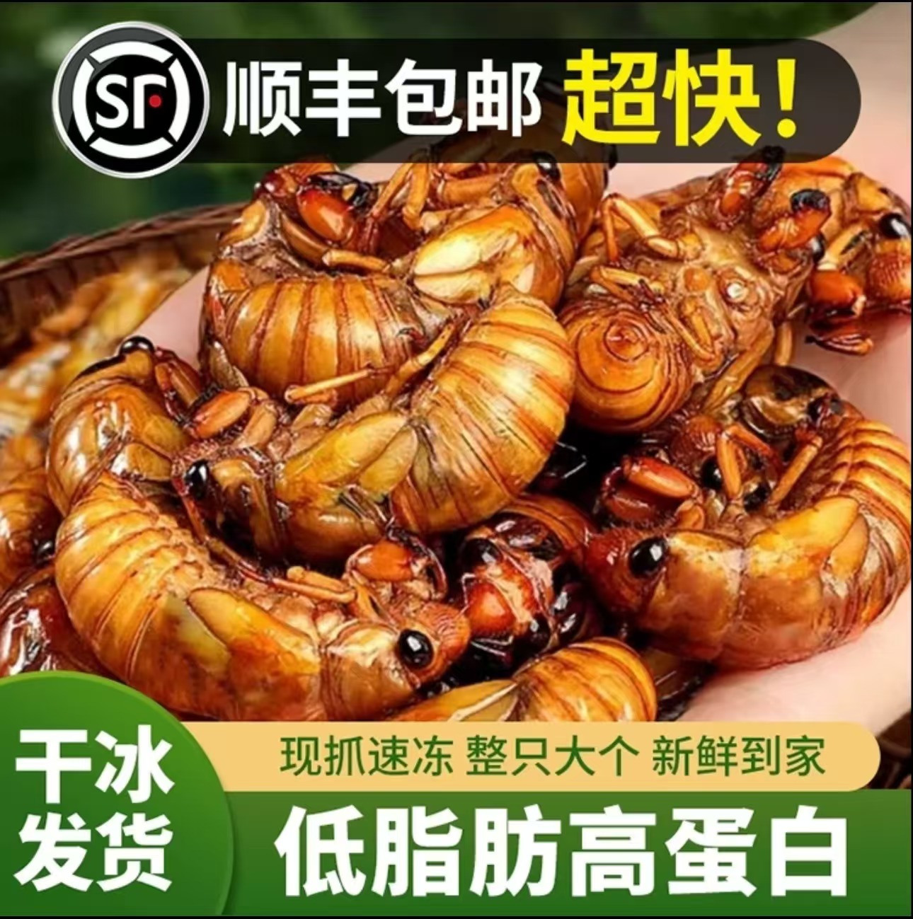 【顺丰京东随机发】2025新鲜金禅知了猴速冻现抓爬叉猴蝉蛹.