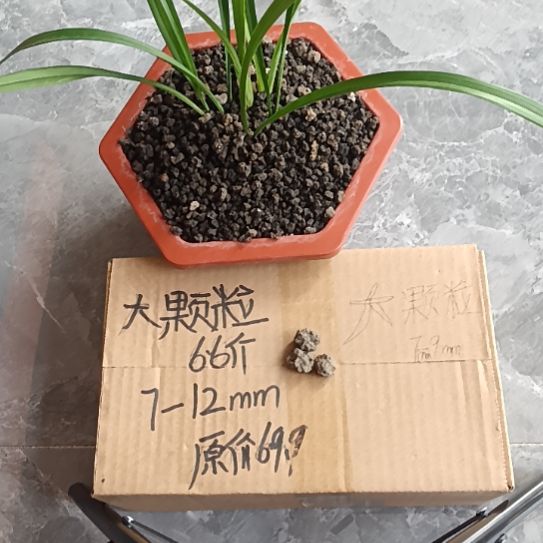 用***号兰菌黑山土大颗粒6.6斤