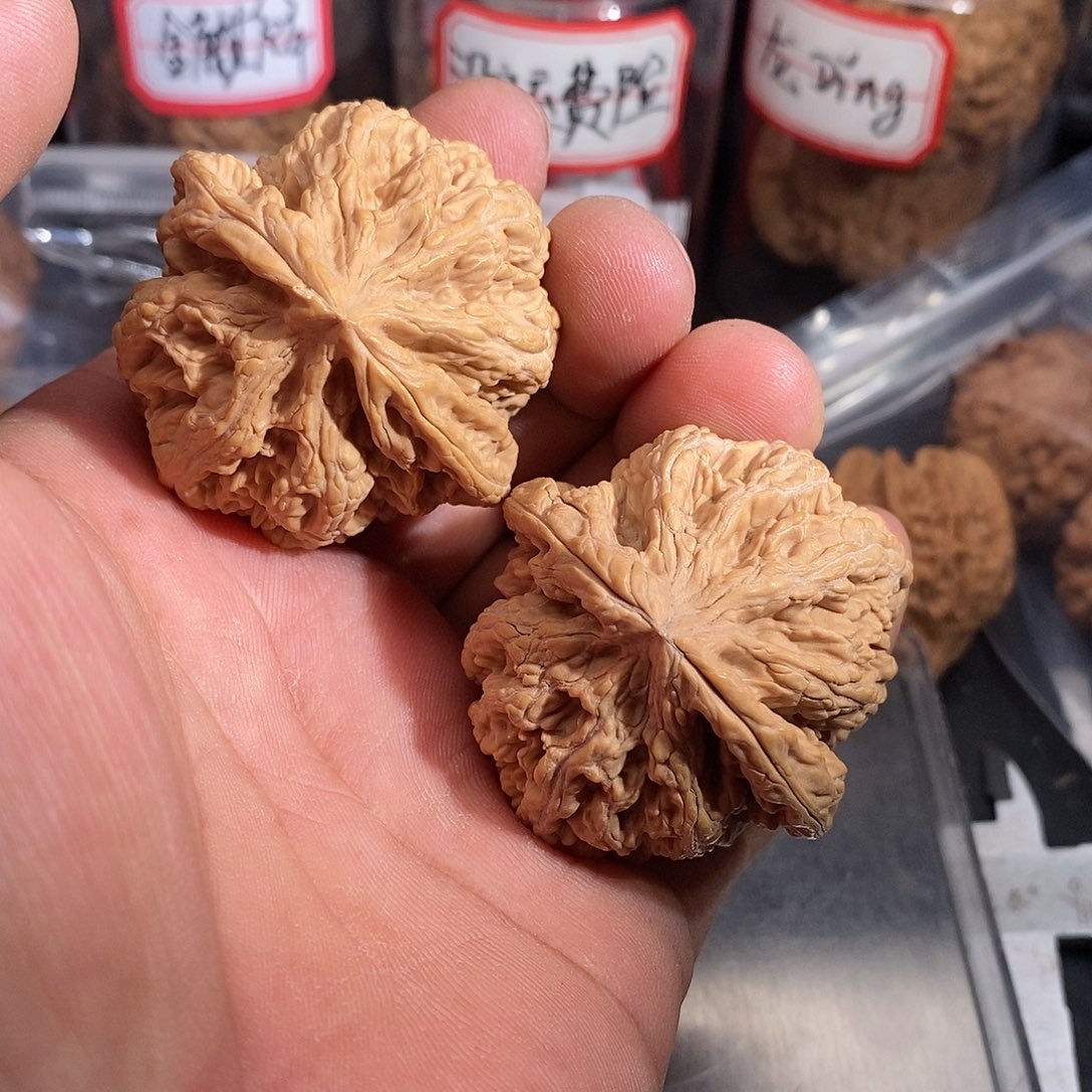 文玩核桃把件指****7粗筋45