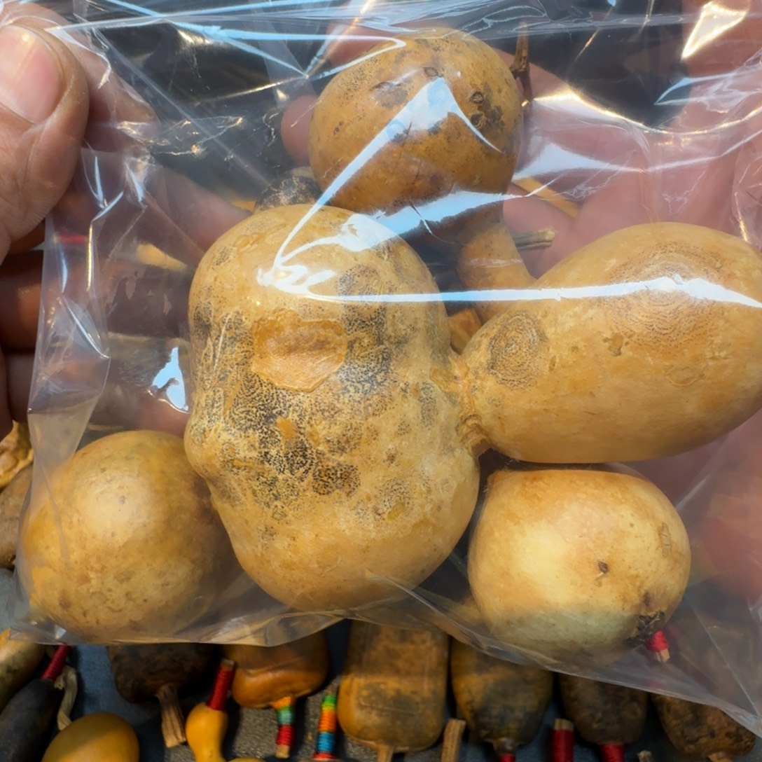 忘***持哦哦哦哦哦哦哦哦哦哦哦哦哦哦哦