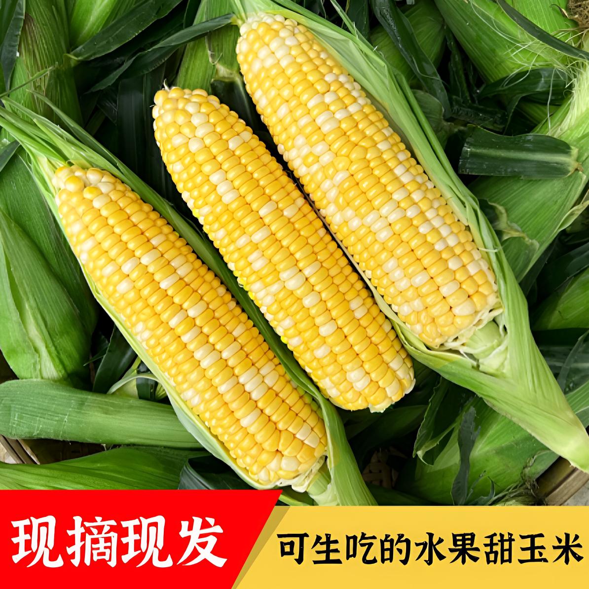 新鲜水果玉米当季农家现摘可生吃清甜多汁带箱五斤