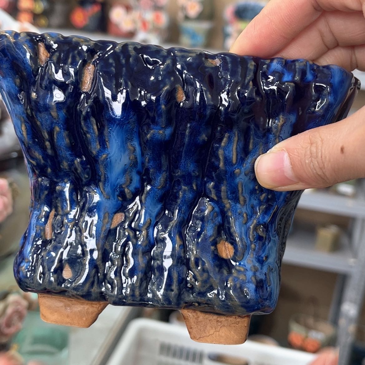 【闪购商品】红陶福利