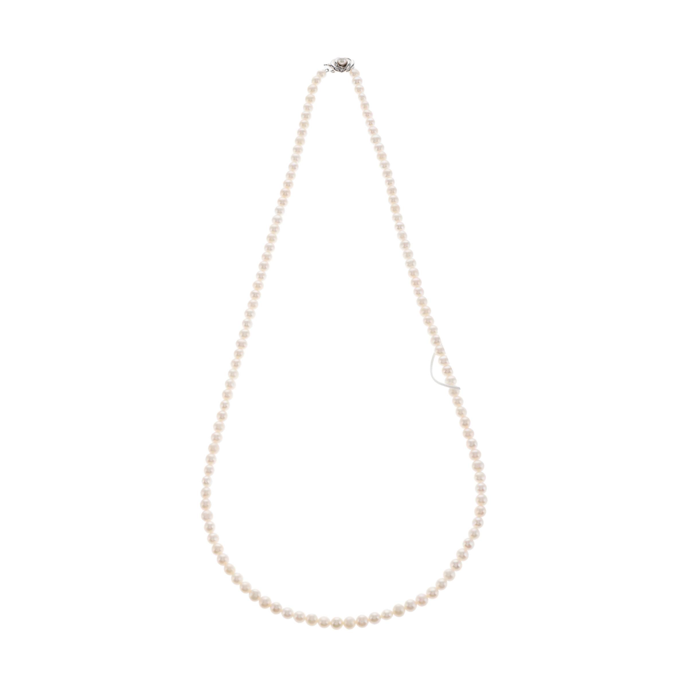 红布林/C1开箱/塔思琦/82512993/z/121107