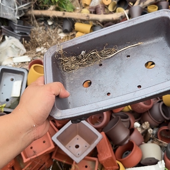 是一个不知名作家与著名漫画杂志