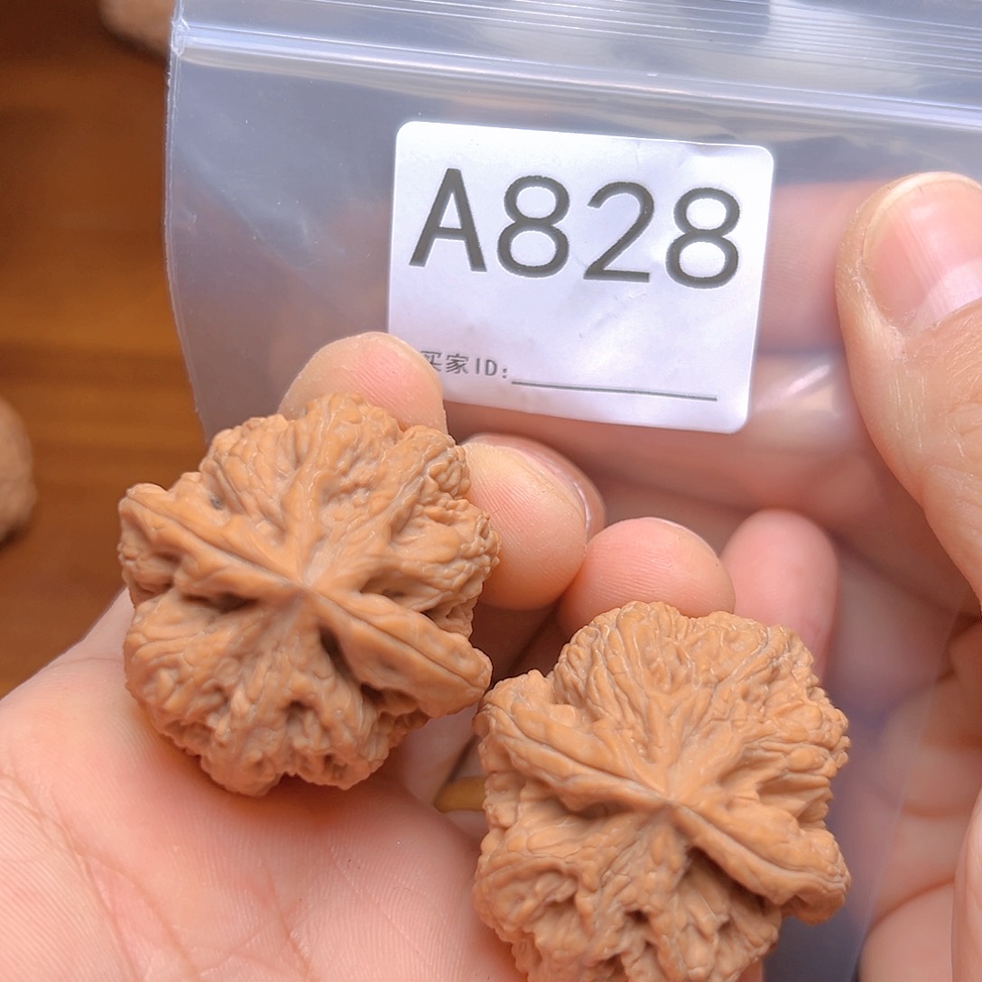 文玩核桃吊坠38大粗筋