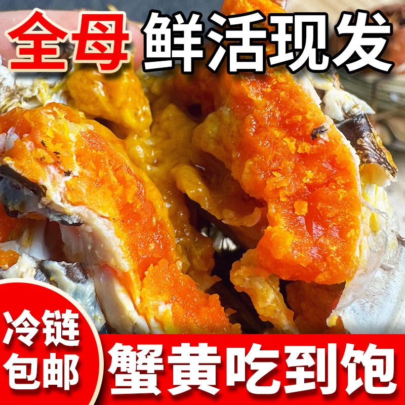 【活蟹】苏州大闸蟹母蟹2.8-3.1两拍8送2到手10只（坏死包赔）