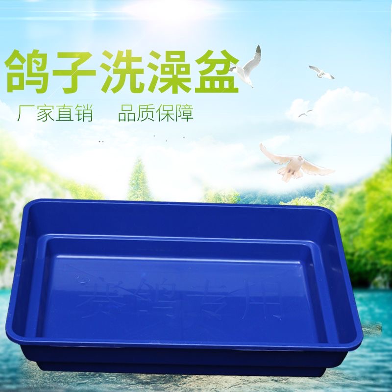 加强型塑料鸽子澡盆赛鸽专用大号洗浴盆