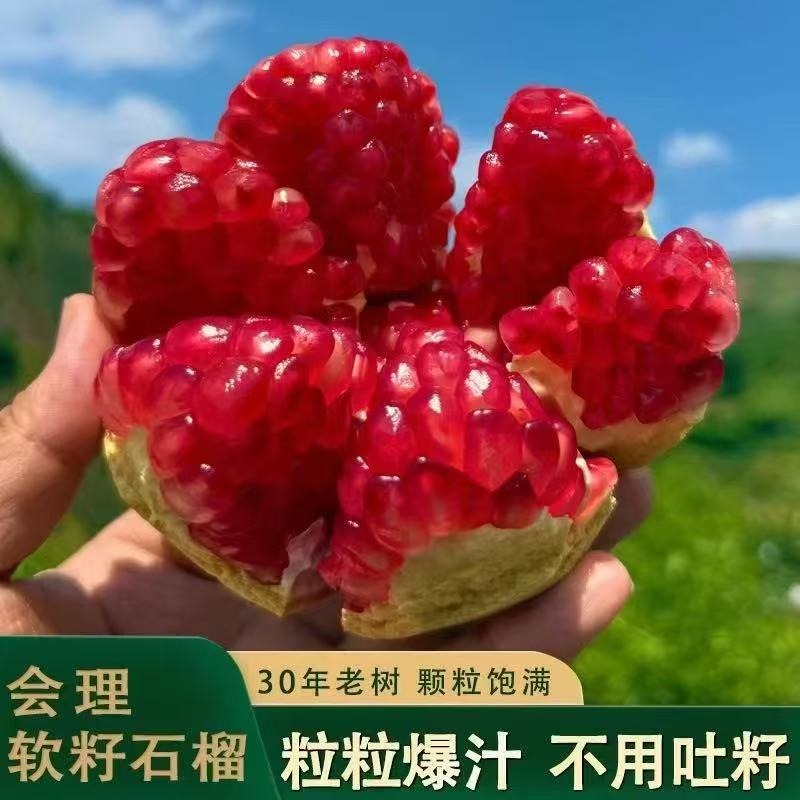 【专属品质】四川会理突尼斯软籽石榴产地直发网红水果应季新鲜