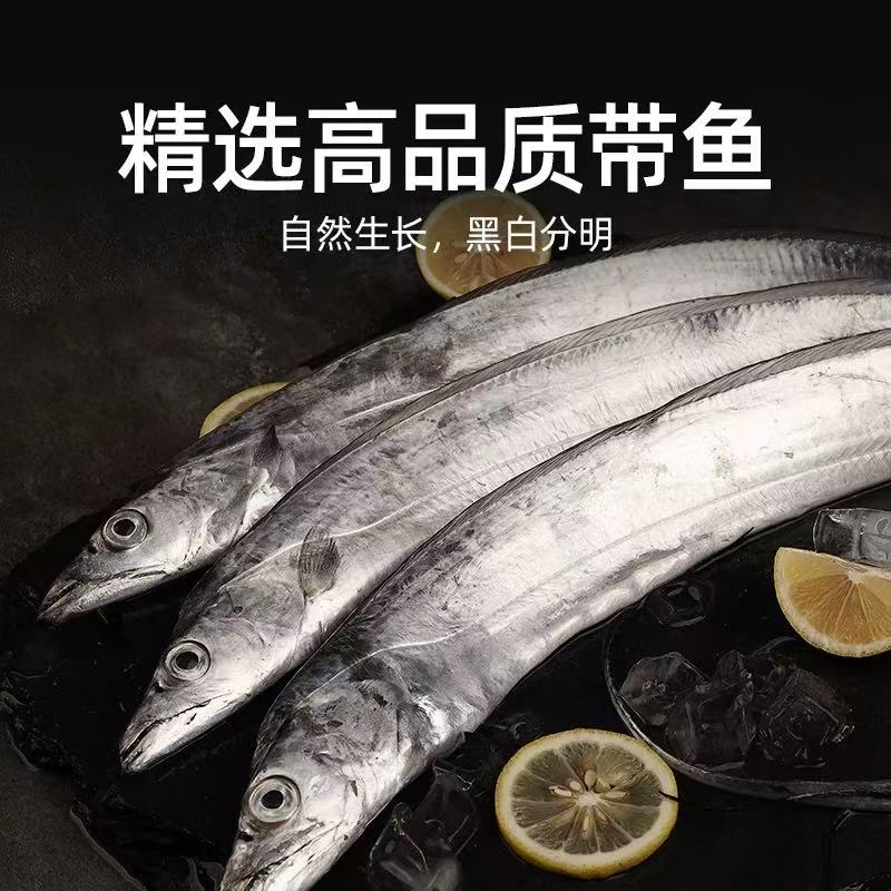 【新鲜舟山带鱼】精品小眼睛油带鱼 无破肚 无冰衣 顺丰包邮