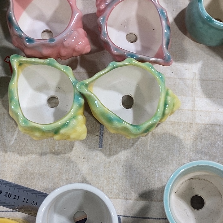 花盆抢购清货马上开始