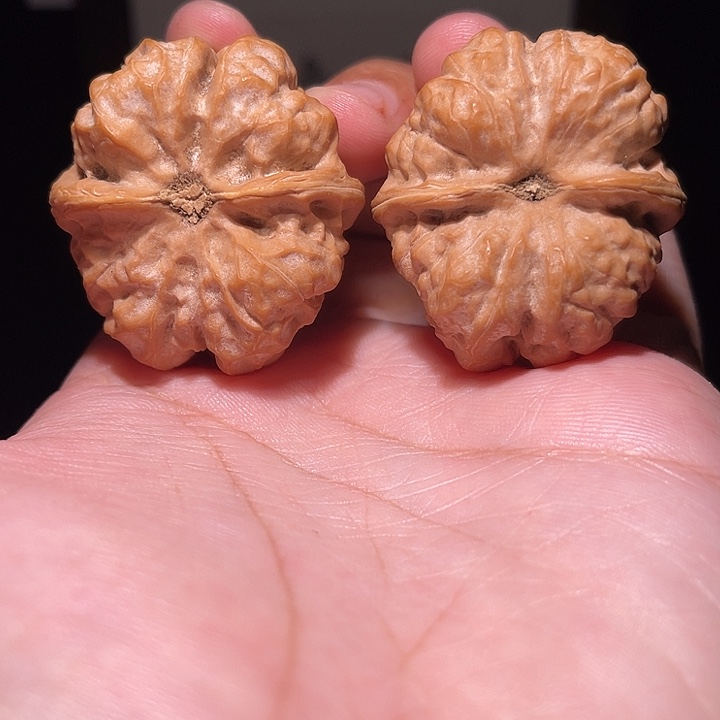 核桃手串/手链蛤蟆头核桃