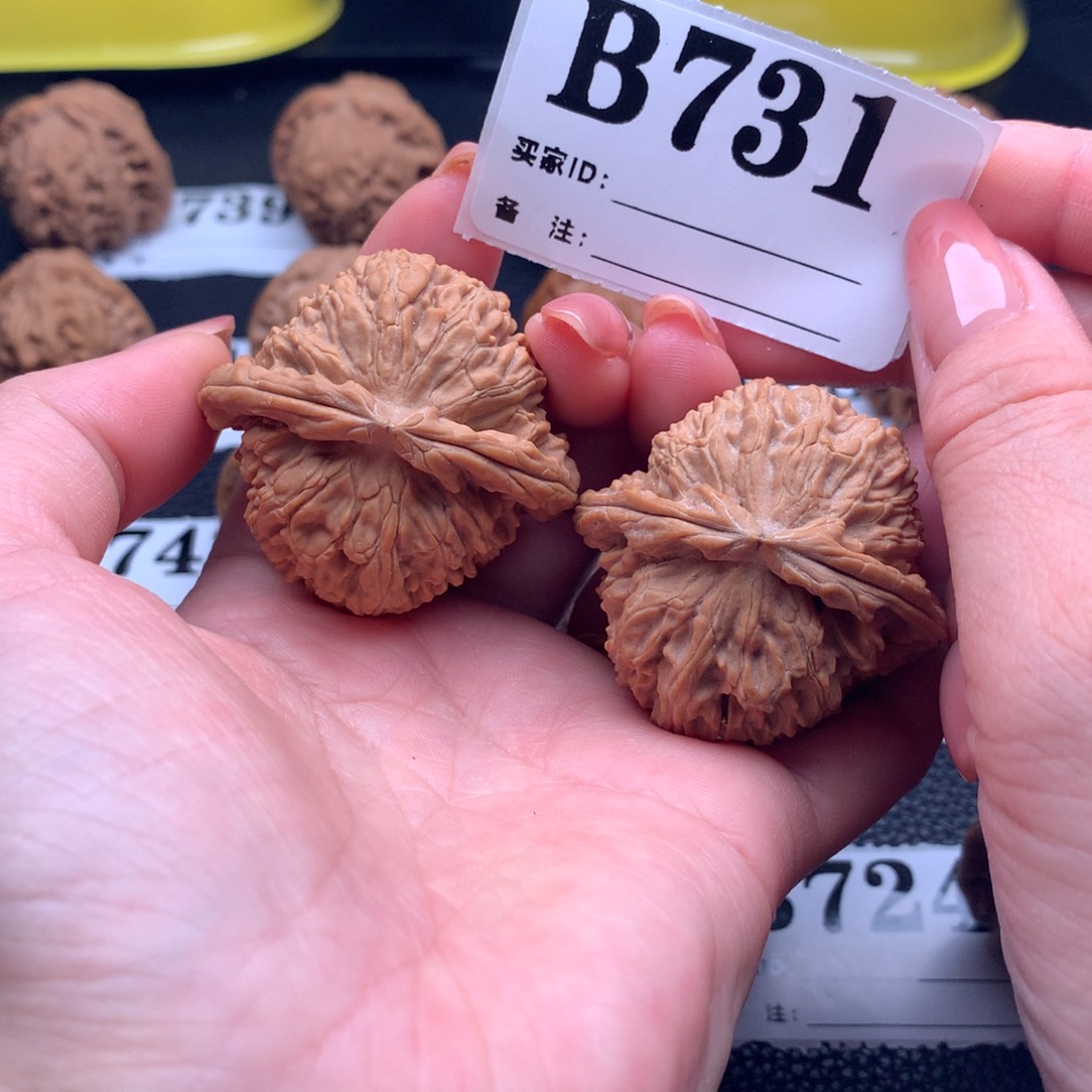 吊坠文玩核桃白狮731链接43尺全