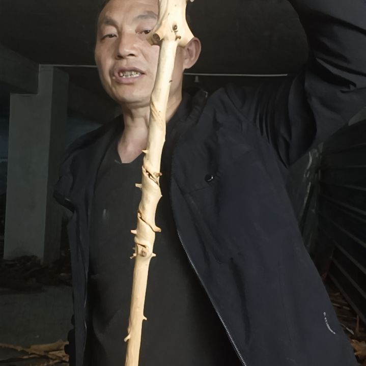 稳定木贵州檬子木   铁马鞭   根艺  半成品