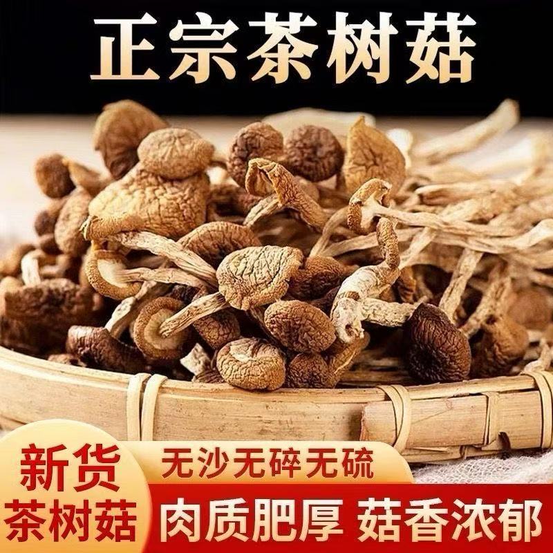茶树菇炖汤炒菜营养食材BT