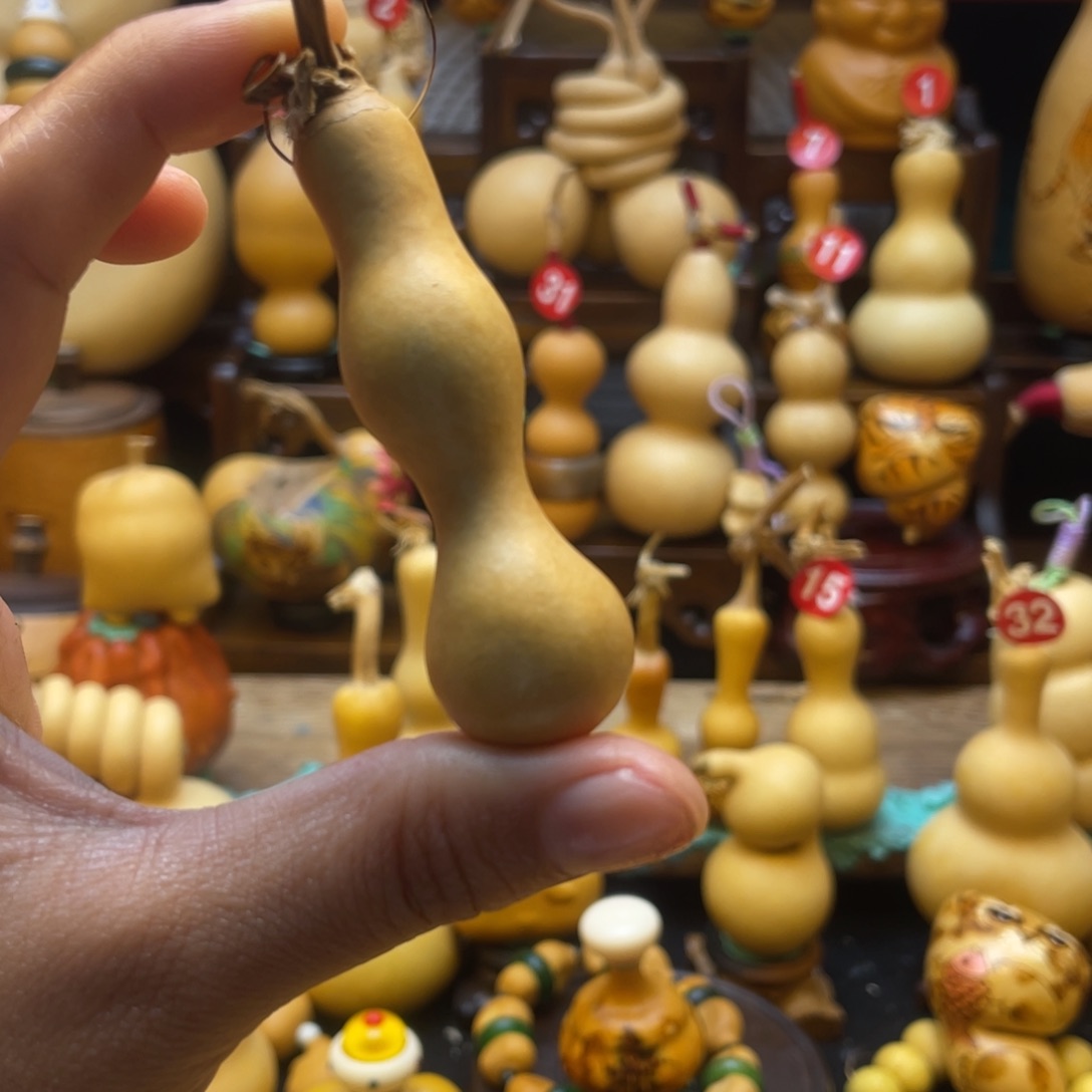 晴**里葫芦等经济作物的栽培技术研究和推广