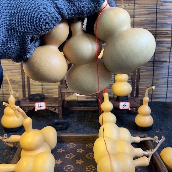 你的生活是我的生活