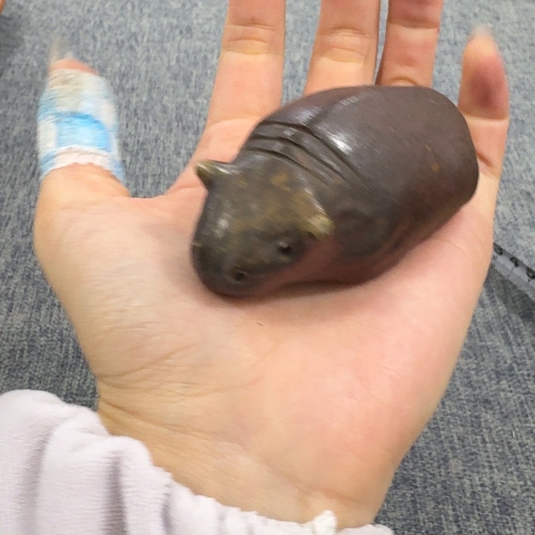 非常美丽漂亮的物品