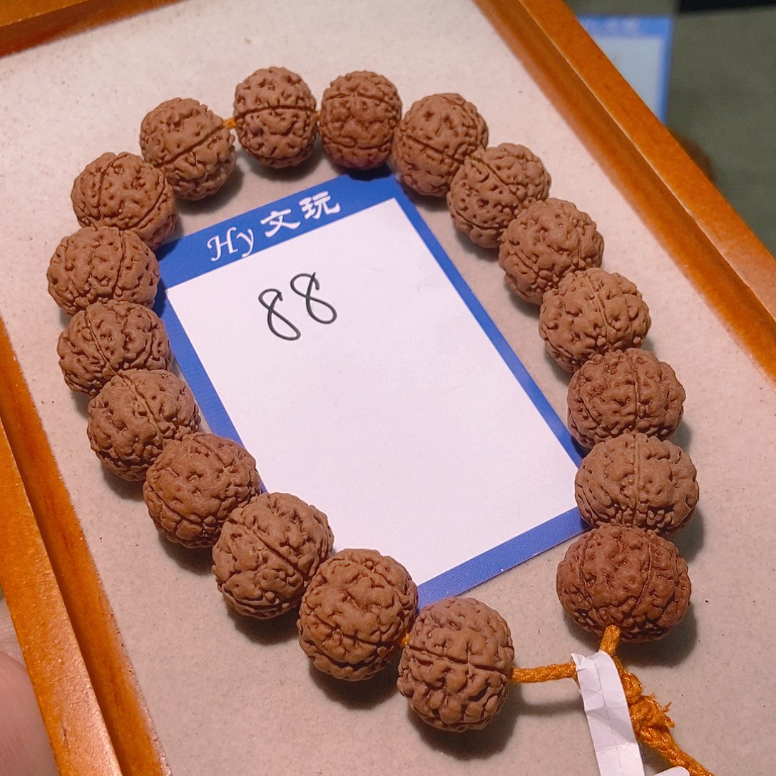 鲲***翅金刚菩提手串88古树龙珠18