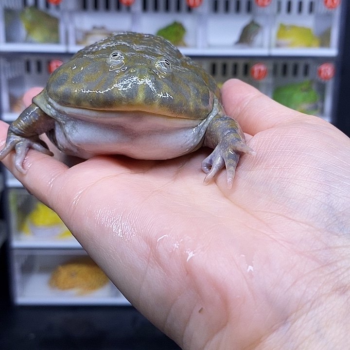 特价秒杀原价代购