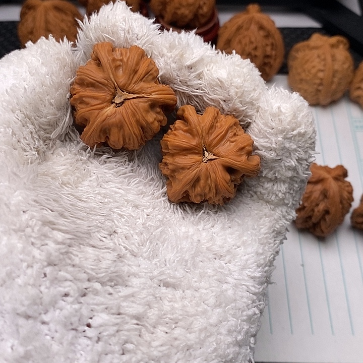 核桃手串/手链白狮子7