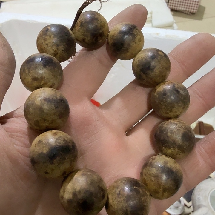 任***清扇子吃g哥哥哈哈哈哈哈哈哈哈