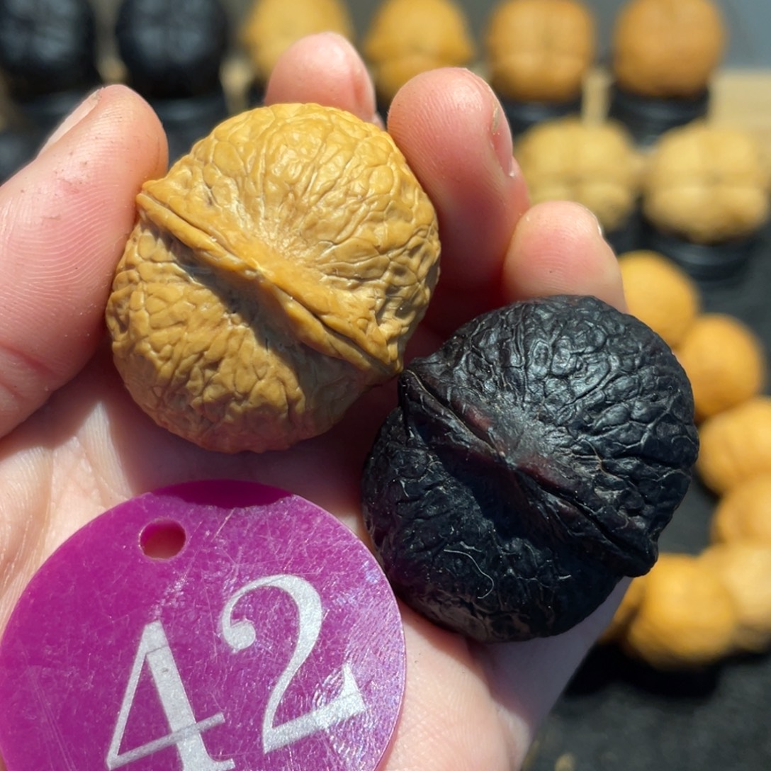 太极阴阳球核桃34