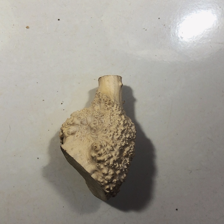 用***7木木料木料木料木料