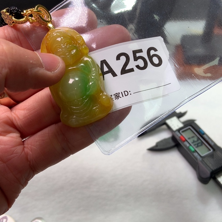 翡翠颈饰未镶嵌Y***白