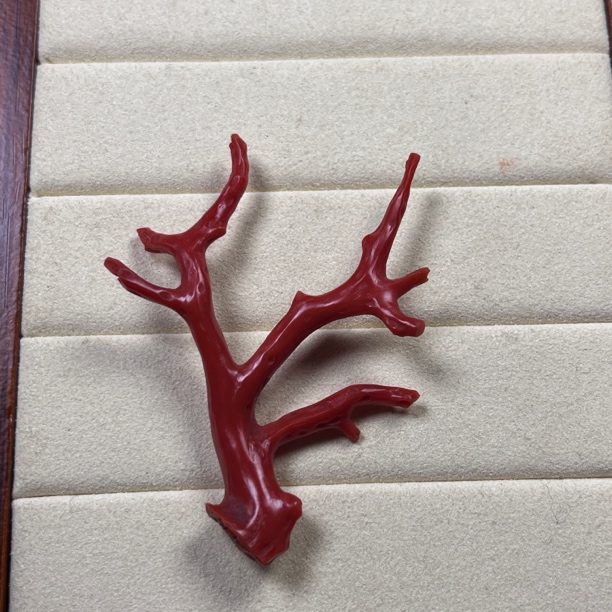 沙丁珊瑚原枝挂检小摆件【国检证书】