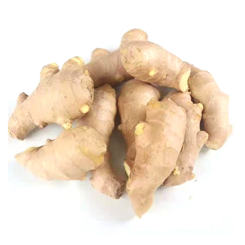 【绿色认证】安心生姜约300g