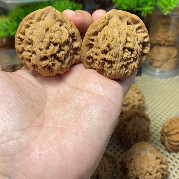 核桃手串/手链水龙纹42全