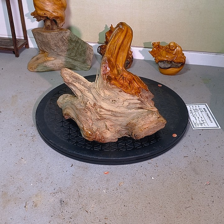 柏木（崖柏）寒**开太行大峡谷崖柏