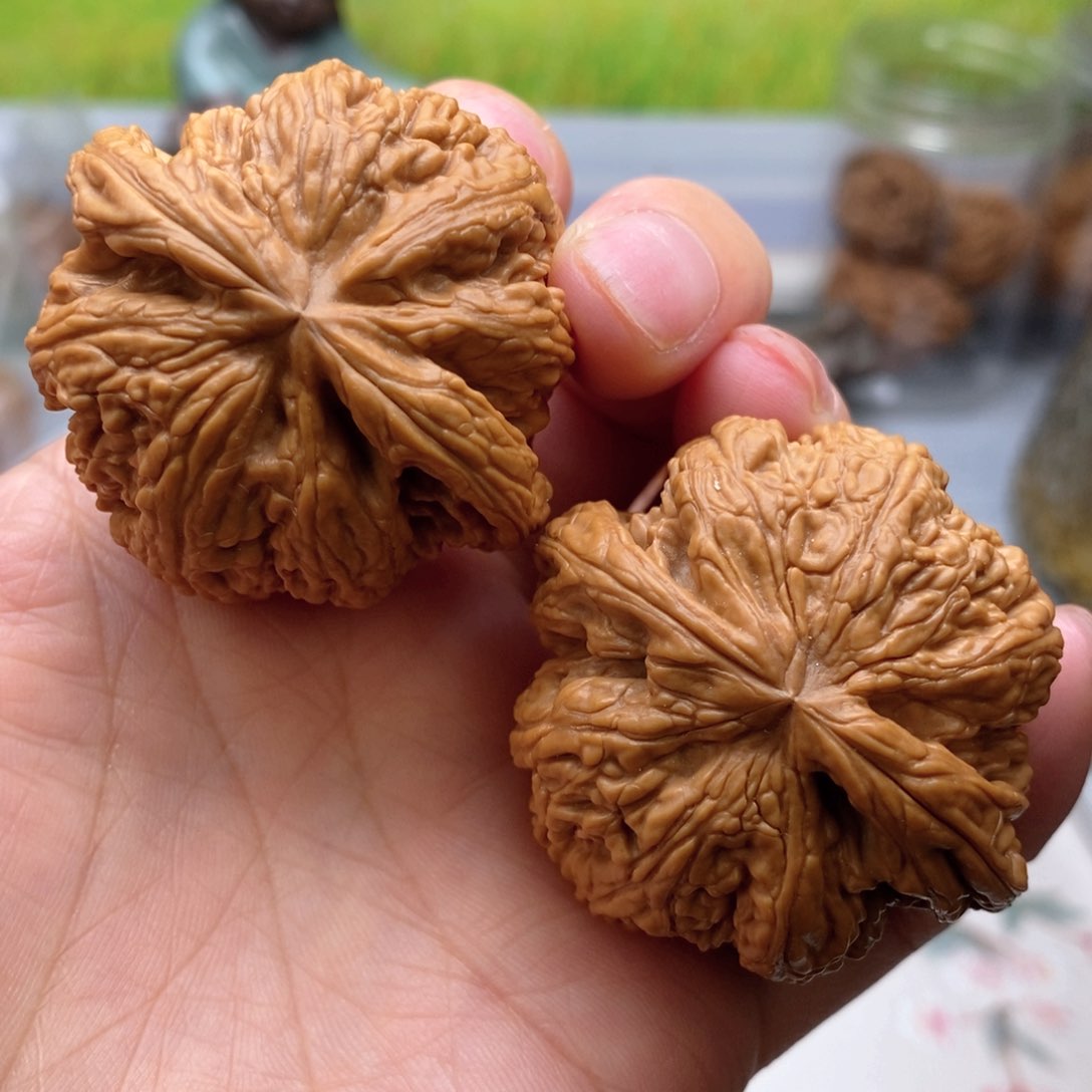 【闪购商品】文玩核桃把件粗筋