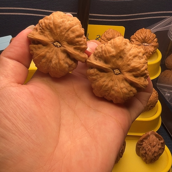 核桃极品金蟾蛤蟆头