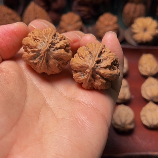 文玩核桃吊坠霸王龙珠