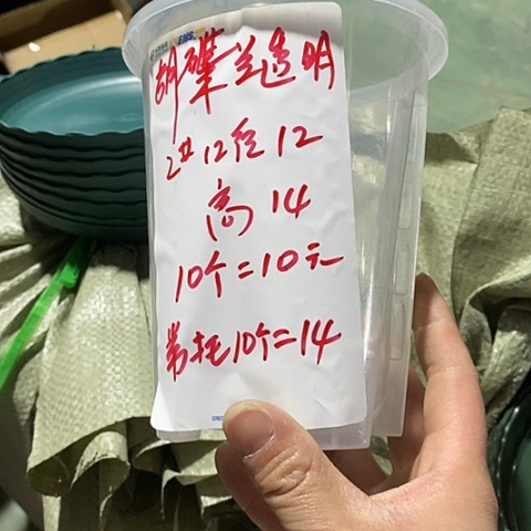 树脂透明12口径10个无托
