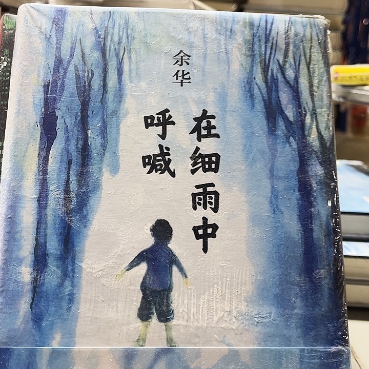 在细雨中呼喊全新精装一本