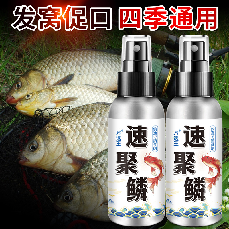 速聚鳞钓鱼专用液野黑坑鲫鲤青草鳊鲢鳙鱼饵窝料开口诱食喷雾