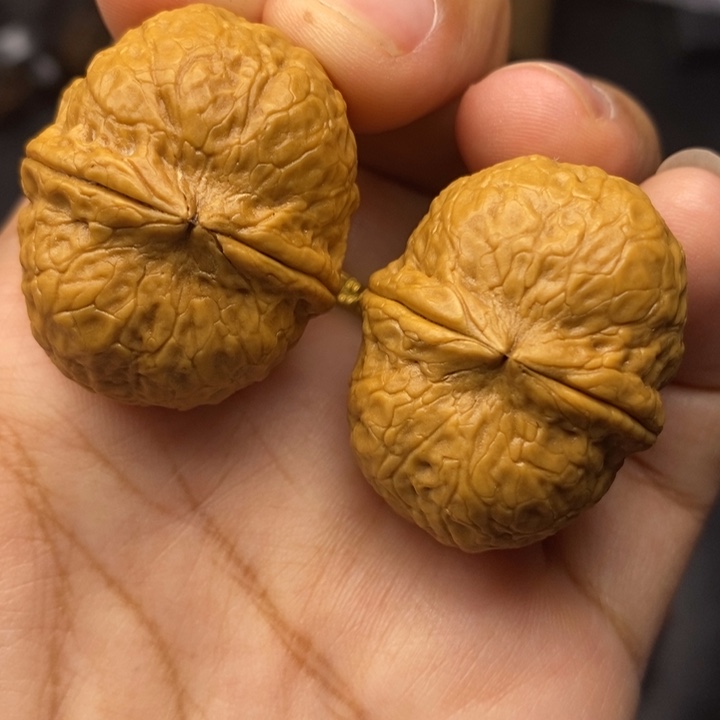 把件文玩核桃35尺寿星元宝