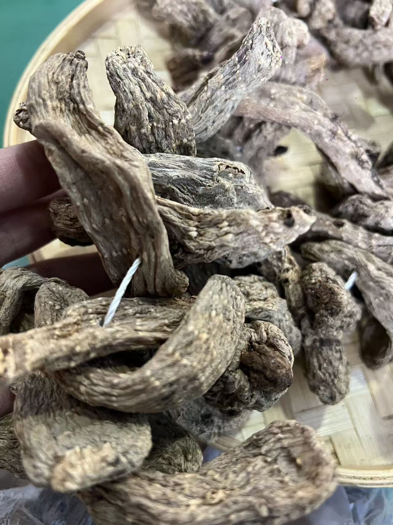 龙腾专属-串天麻
