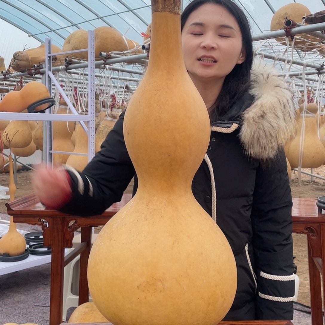 红***帆木qwetuyduudfjirdhiyg