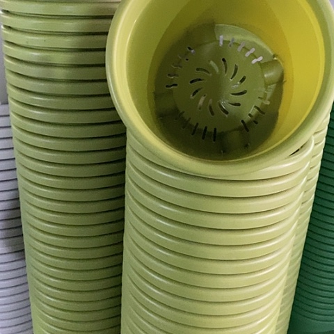树脂微瑕果绿5号无托6个
