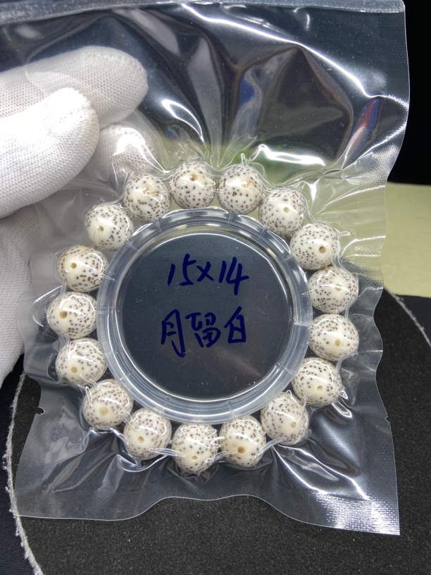 星月菩提15x14正月苹果圆月留白一线天小细星 原生态