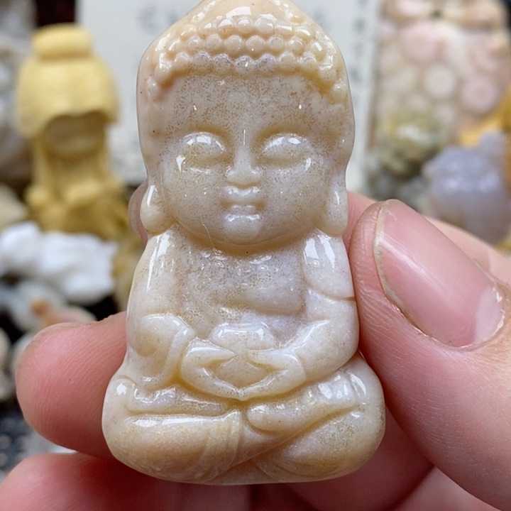 颈饰未镶嵌硅化珊瑚（珊瑚玉）