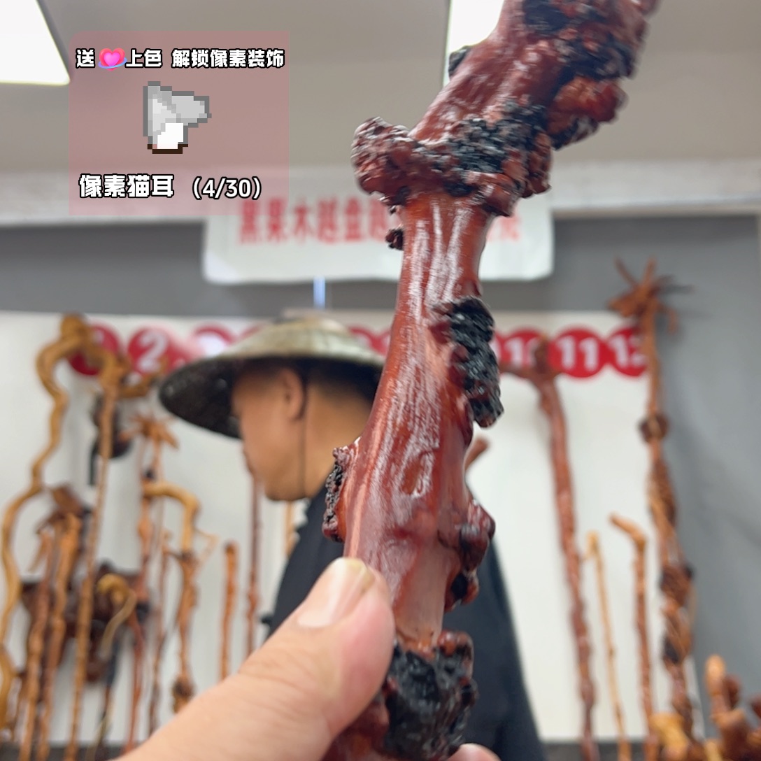 黑果木其他黑果木013