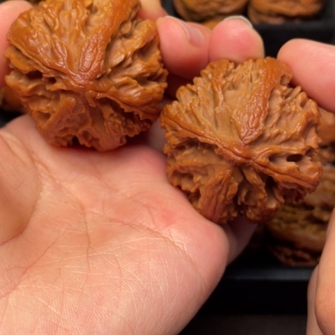 文玩核桃吊坠秦岭山脉核桃