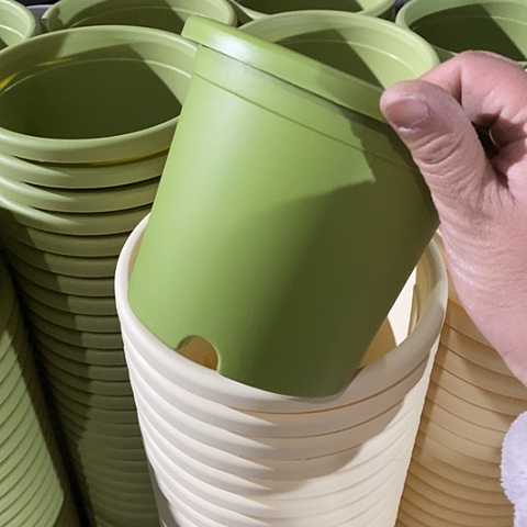 树脂口径14果绿10个无托