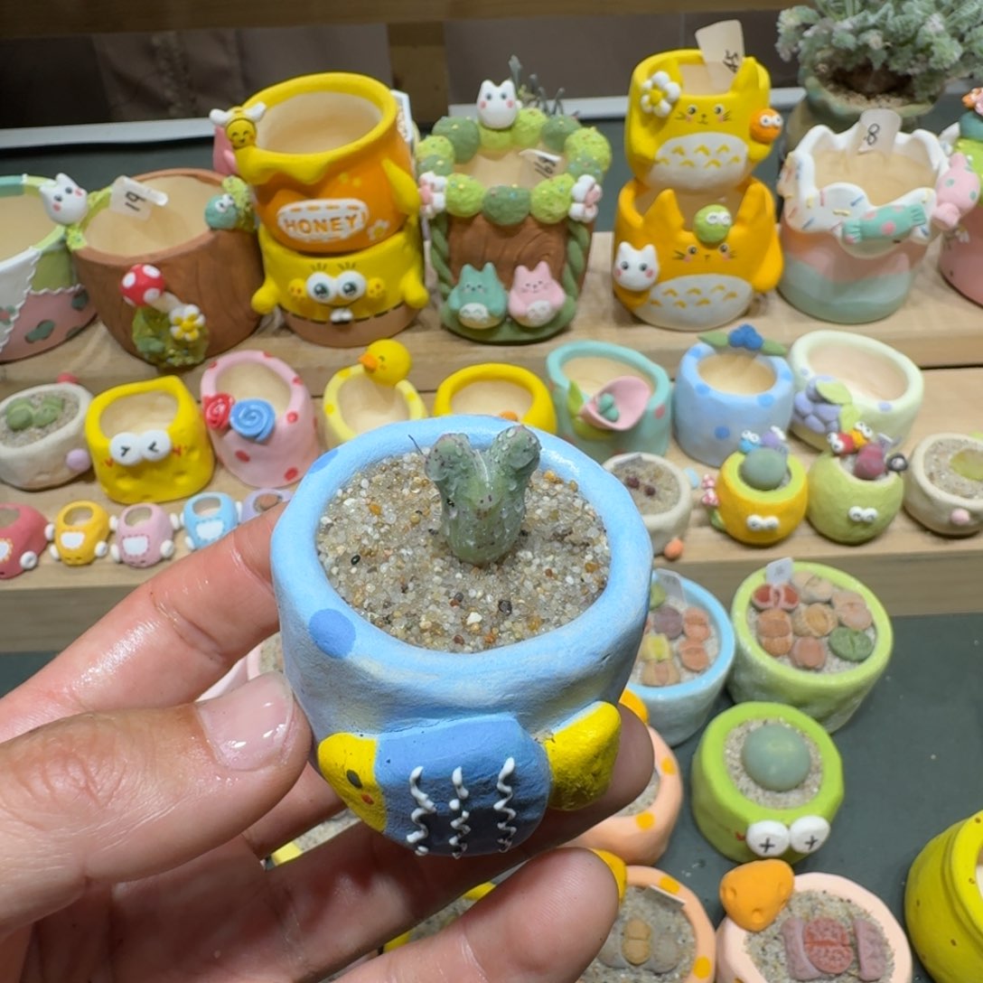 红陶蘑菇622丹尼尔猪ti