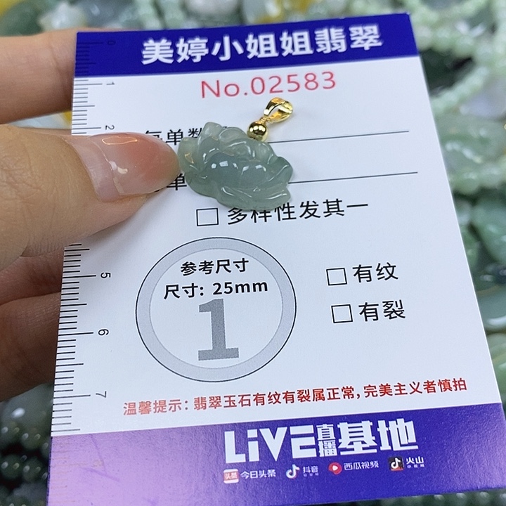 翡翠未镶嵌颈饰翡翠